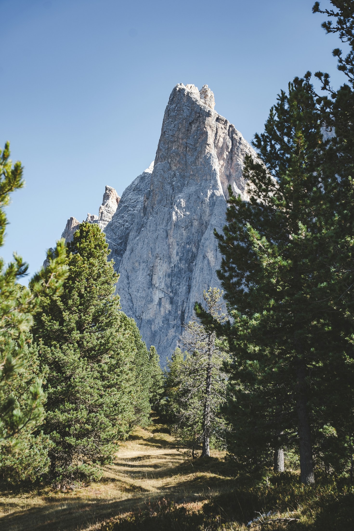 Top Reasons to Visit Pohorje Alpine Year-Round